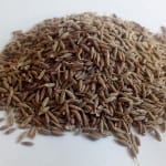 CUMIN ENTIER BIO – Image 2