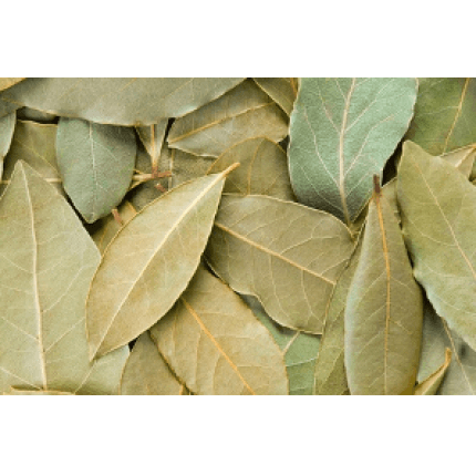 Les feuilles de laurier biologique sont de forme ovale allongée, avec des bords lisses et un contour légèrement ondulé. Elles sont de couleur vert olive foncé. Les feuilles de laurier sont une épice courante utilisée dans la cuisine méditerranéenne et du Moyen-Orient.