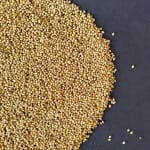 CORIANDRE MOULUE BIO – Image 2